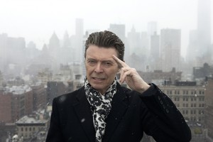 bowie site